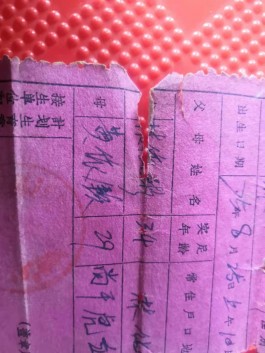 寻亲：林依彬