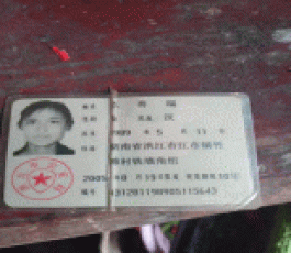 寻亲：危善端