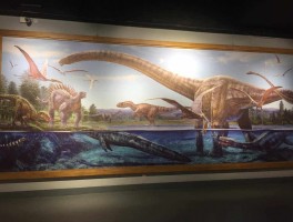 画家唐宇作品多少钱(唐宇轩简介)-画家唐宇联系方式