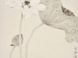 画家刘瑗作品多少钱(刘瑗瑷简介)-画家刘瑗联系方式