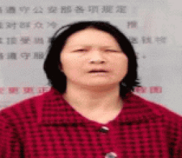 寻亲：王二梅