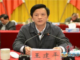 书法家王建平作品多少钱(书法家画家王建简介)-书法家王建平联系方式