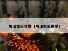 书法家王世举（书法家王世堂）