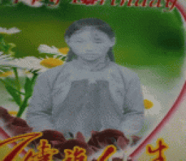 寻亲：张福巧