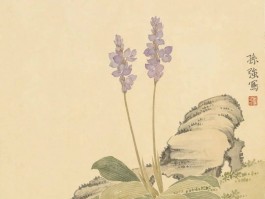 画家孙强作品多少钱(工笔画家孙强)-画家孙强联系方式