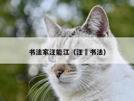 书法家汪能江（汪鋆书法）
