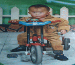 寻亲：罗云