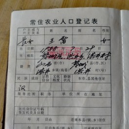 寻亲：付梦园