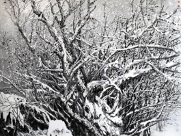 画家王白石作品多少钱(王白石念什么字)-画家王白石联系方式