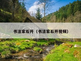 书法家石开（书法家石开视频）