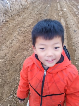 寻亲：杨以勒