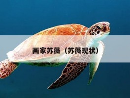 画家苏薇（苏薇现状）