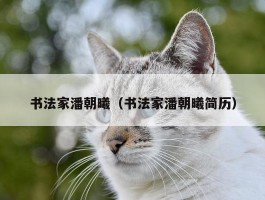 书法家潘朝曦（书法家潘朝曦简历）