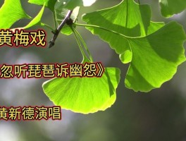 画家甘肃黄德新的简单介绍