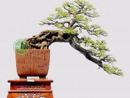 画家刘耀辉作品多少钱(艺术家刘耀华)-画家刘耀辉联系方式