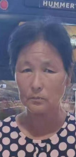 寻亲：董太梅