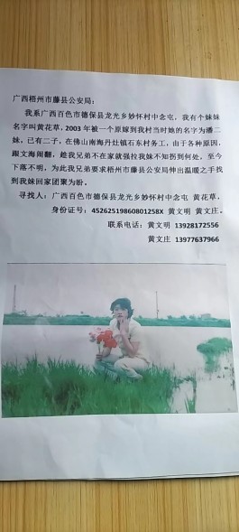 寻亲：黄花草