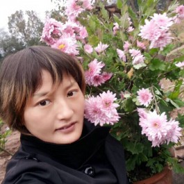寻亲：何凤琼