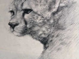画家王兆平作品多少钱(画家王兆祥简介)-画家王兆平联系方式