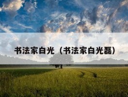 书法家白光（书法家白光磊）