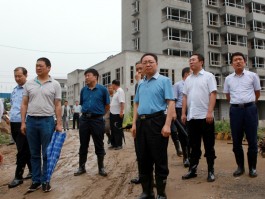 书法家刘大鹏作品多少钱(书法家沈鹏介绍)-书法家刘大鹏联系方式