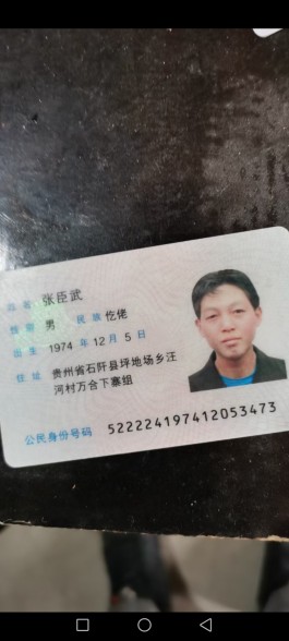 寻亲：张臣武