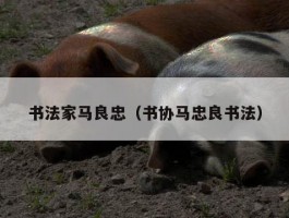 书法家马良忠（书协马忠良书法）