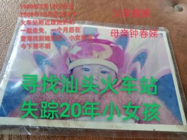 寻亲：魏欣桔