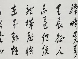 书法家魏天雪(书法家魏天雪的简介)